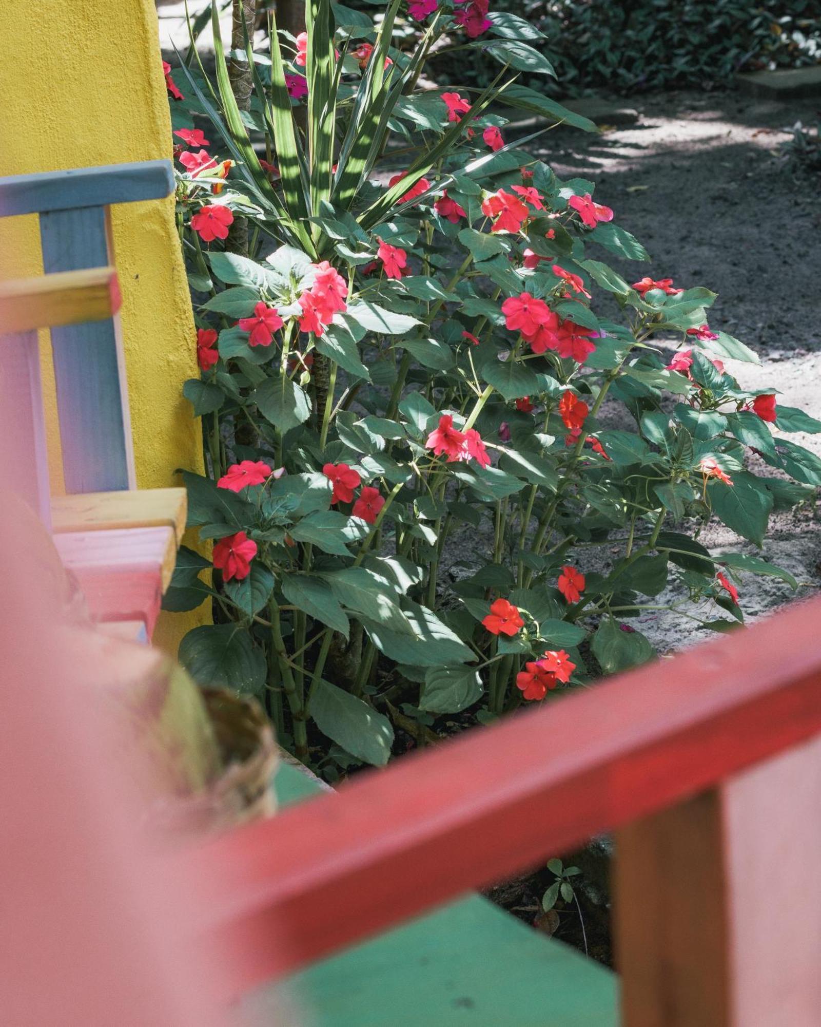 Butterfly House Bahia Hotel Marau  Ngoại thất bức ảnh