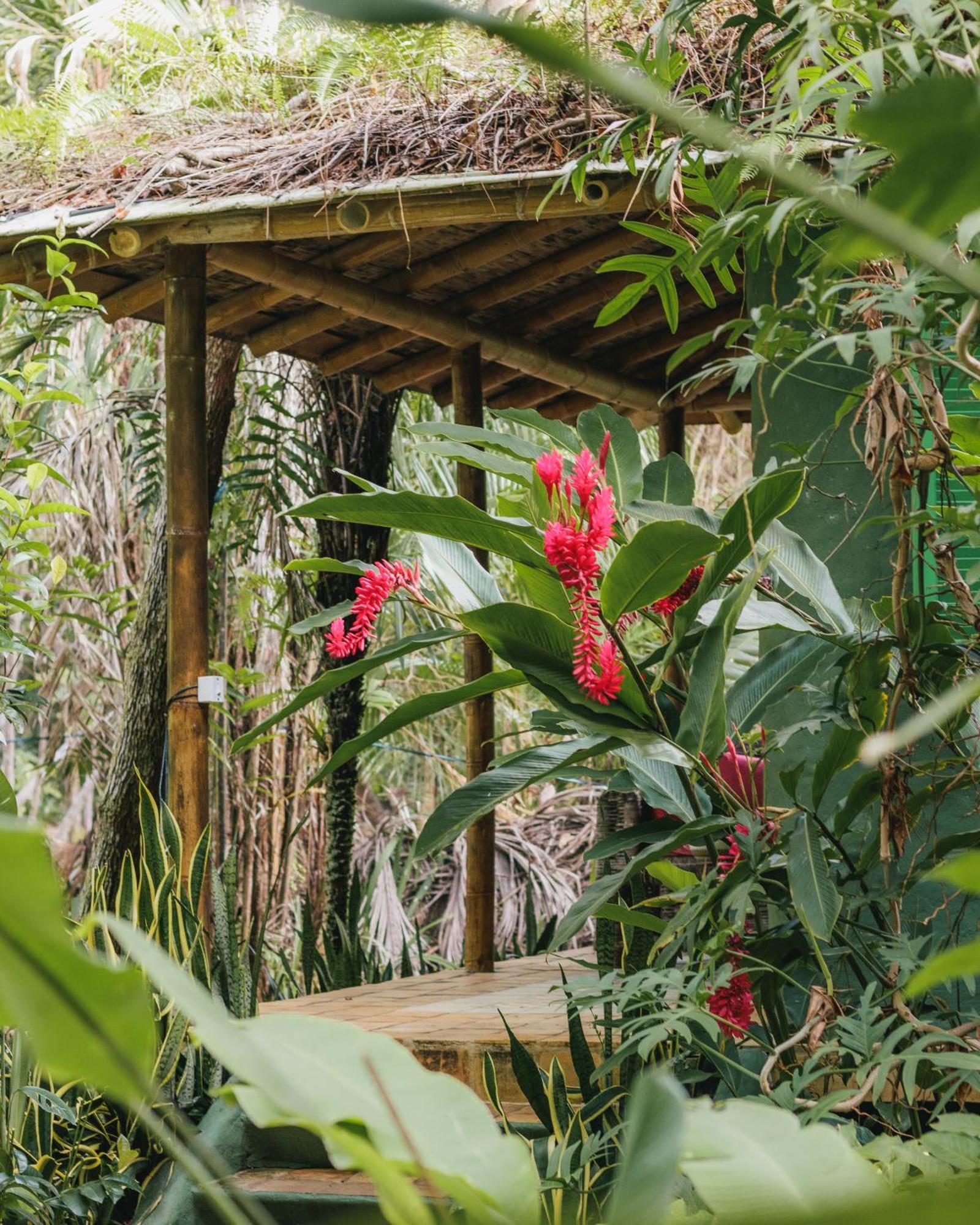 Butterfly House Bahia Hotel Marau  Ngoại thất bức ảnh
